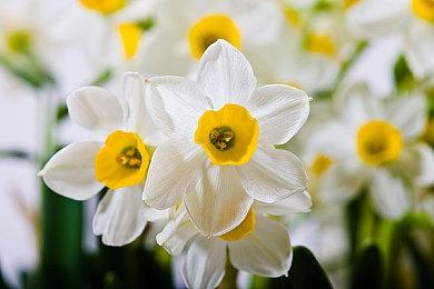 华纳游戏招聘创意总监 负责3A热门IP新作项目开发